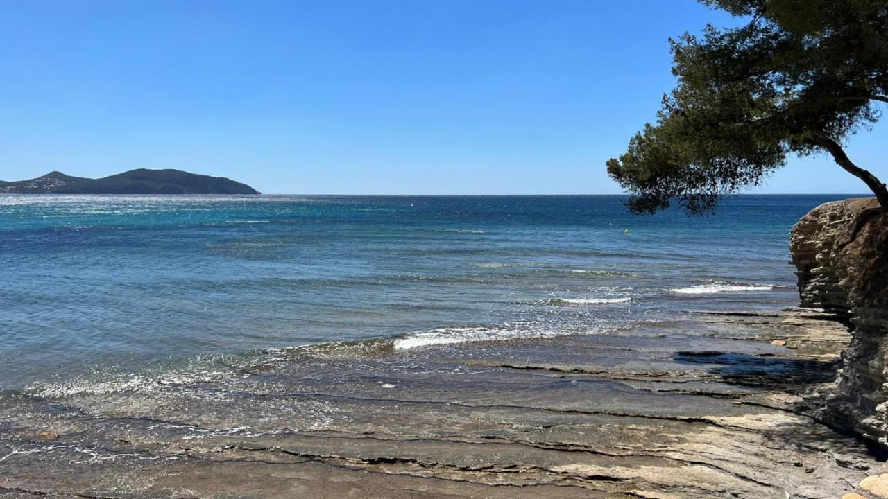 Les Terrasses Du Liouquet T2, Piscine , Parking , Mer A 150 M Λα Σιοτά Εξωτερικό φωτογραφία